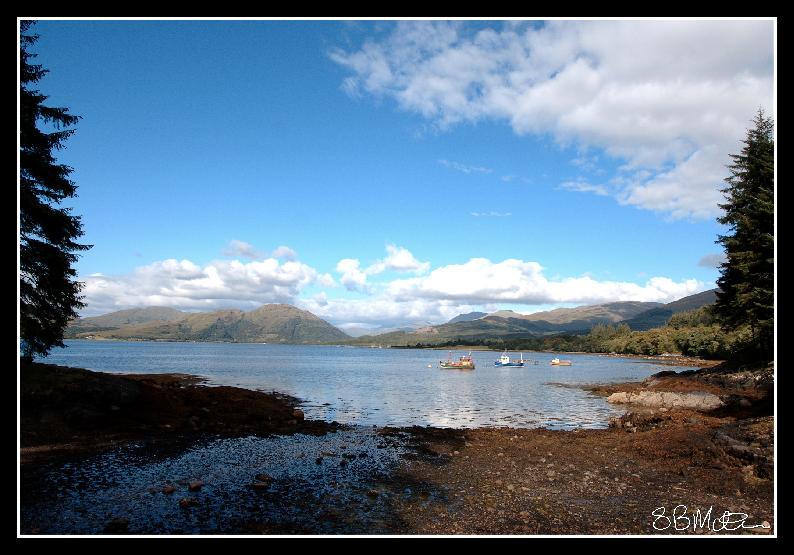 Fishing Boats in the Bay: Photograph by Steve Milner